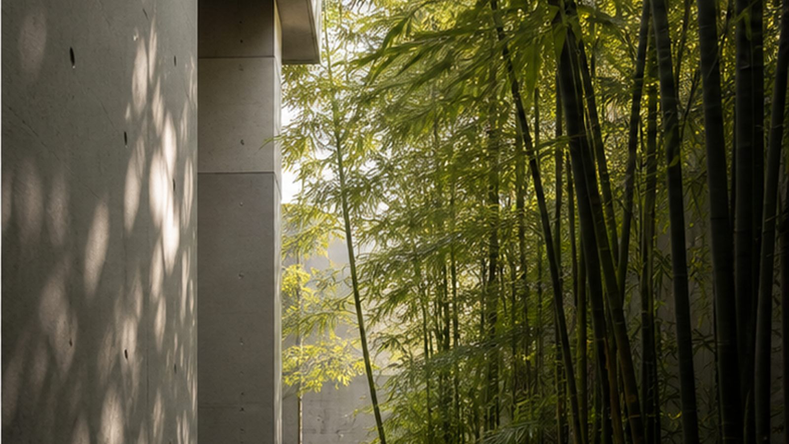竹影清水模庭院
